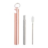 Foldable Stainless steel Straw