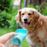 Plastic Travel Drink Pet Feeder