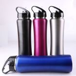 Edelstahl (18/8pro) Wasserflasche wiederverwendbare Reiseflaschen mit Deckel für Fitnesssport -Camping -Wanderungen breit 500 ml ~ 1000 ml Alpine Alpine