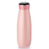 Edelstahl (18/8pro) Smart Wasserflasche reines Wasser in 90 Sekunden 316 Edelstahl schmal 250 ml ~ 500 ml Stein