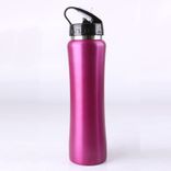 Edelstahl (18/8pro) Wasserflasche wiederverwendbare Reiseflaschen mit Deckel für Fitnesssport -Camping -Wanderungen breit 500 ml ~ 1000 ml Alpine Alpine