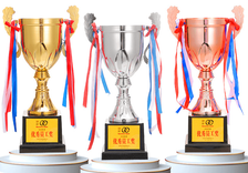 Resin Custom Wholesale Sports,Racing,Competion,Corperate Anuual Award Metal Cups&Trophy Golden