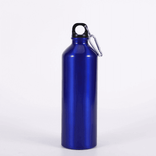 Outdoor Sport Aluminium Wasserflasche 500 ml 700 ml Custom Color Logo Pakete für Fahrradwanderungen und Rucksack -Campingaktivitäten im Freien 500 ml ~ 1000 ml Laguna